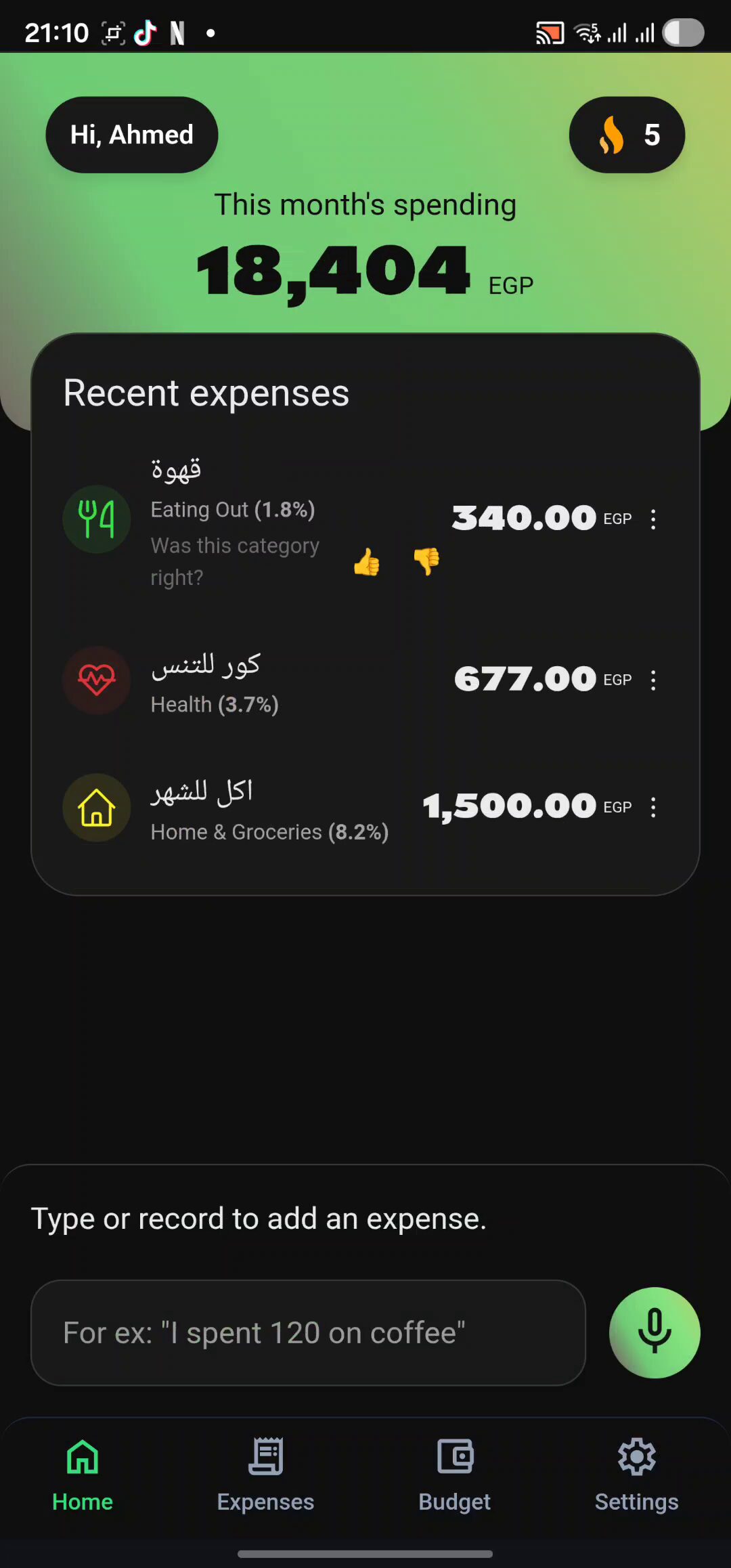 Flosyfeen home screen: expenses logged by voice in Arabic and filed into categories, with the text box and mic button below